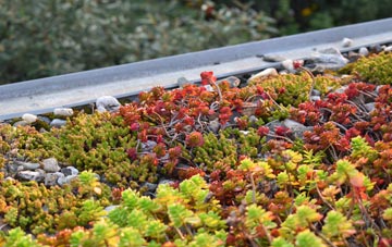 the cost of Bloxworth green roof installation