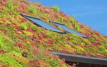 Bloxworth living roof systems