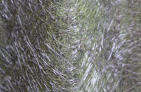 Bloxworth fibreglass roof work